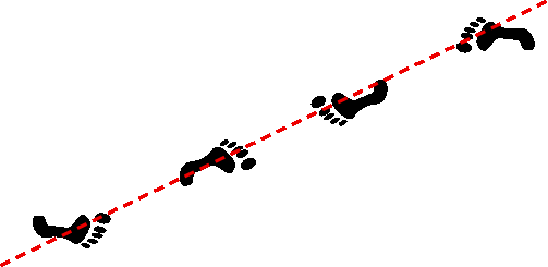 Ai hanmi Katate dori, form 2, position of feet